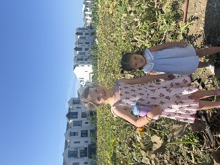 Two girls in pink dresses standing hand in hand in the sunflower field