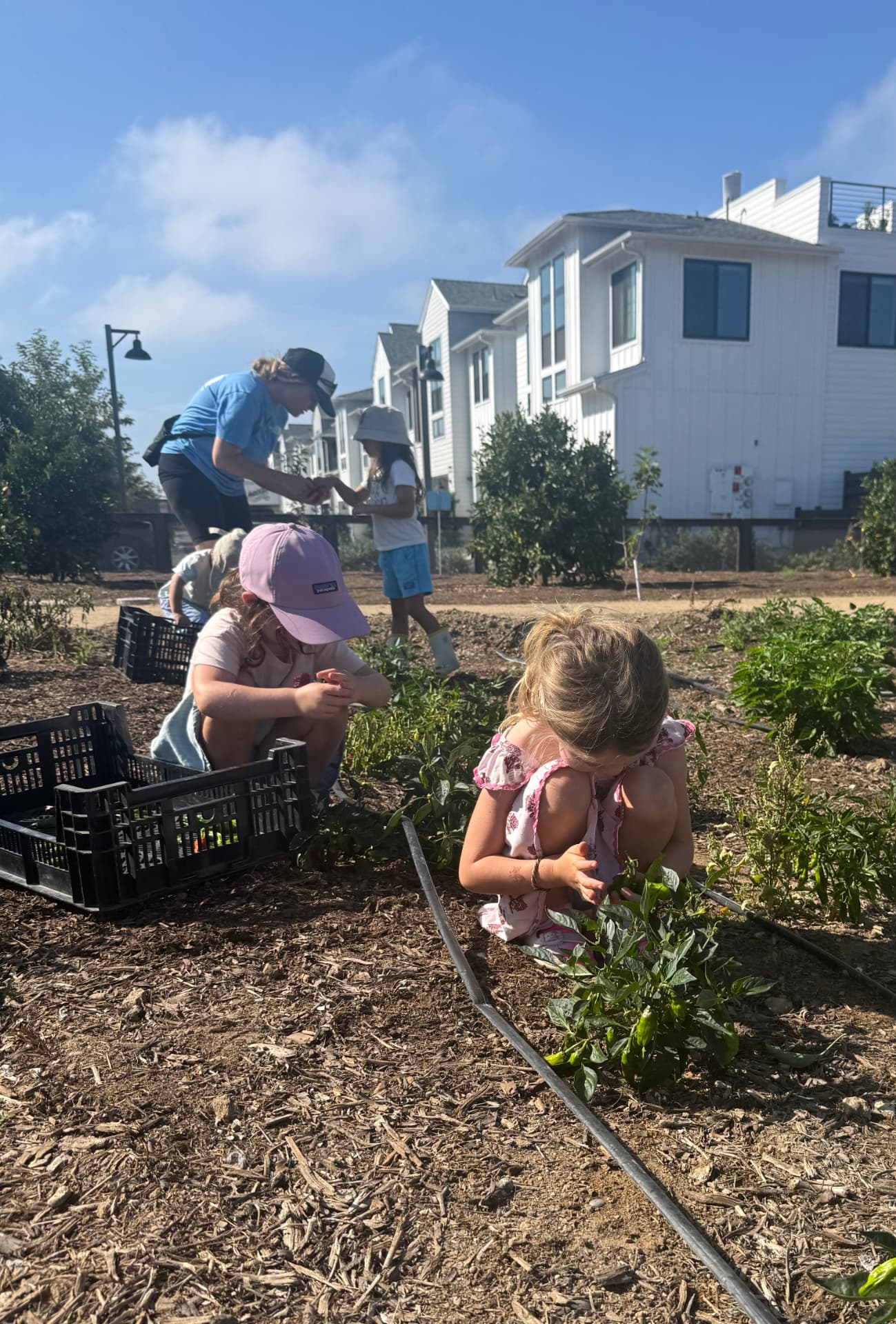 Children and a guide tending beds together in the garden